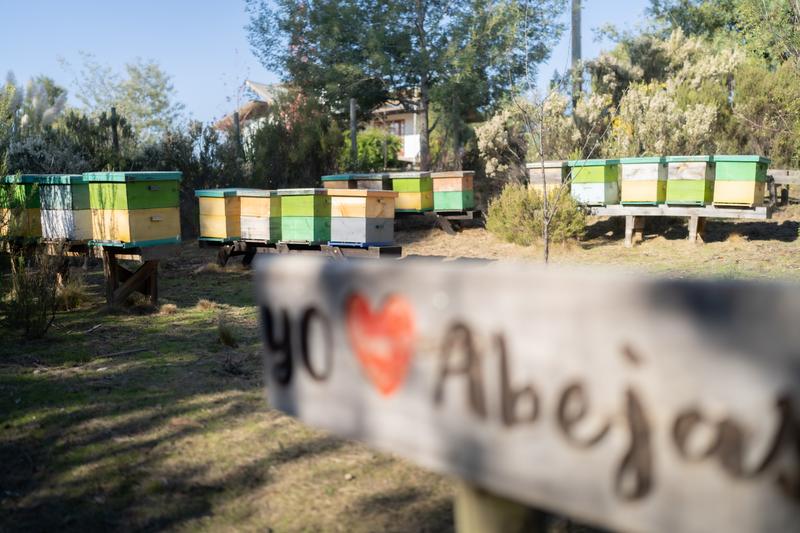 Letrero Yo amo las abejas frente a las colmenas de Mundo Miel