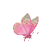 ezgif29a52b7b29b-vi