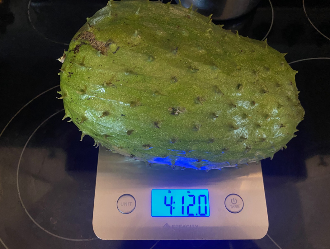 guanabana62020