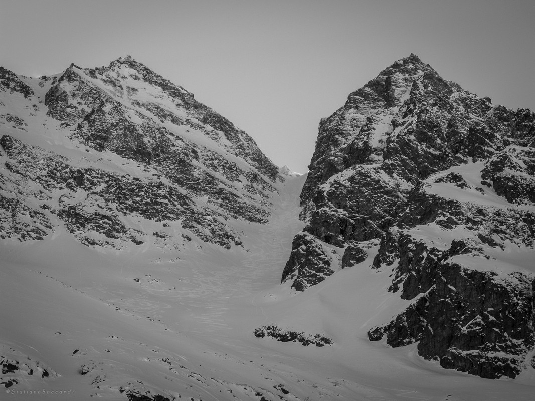 DSCF1908