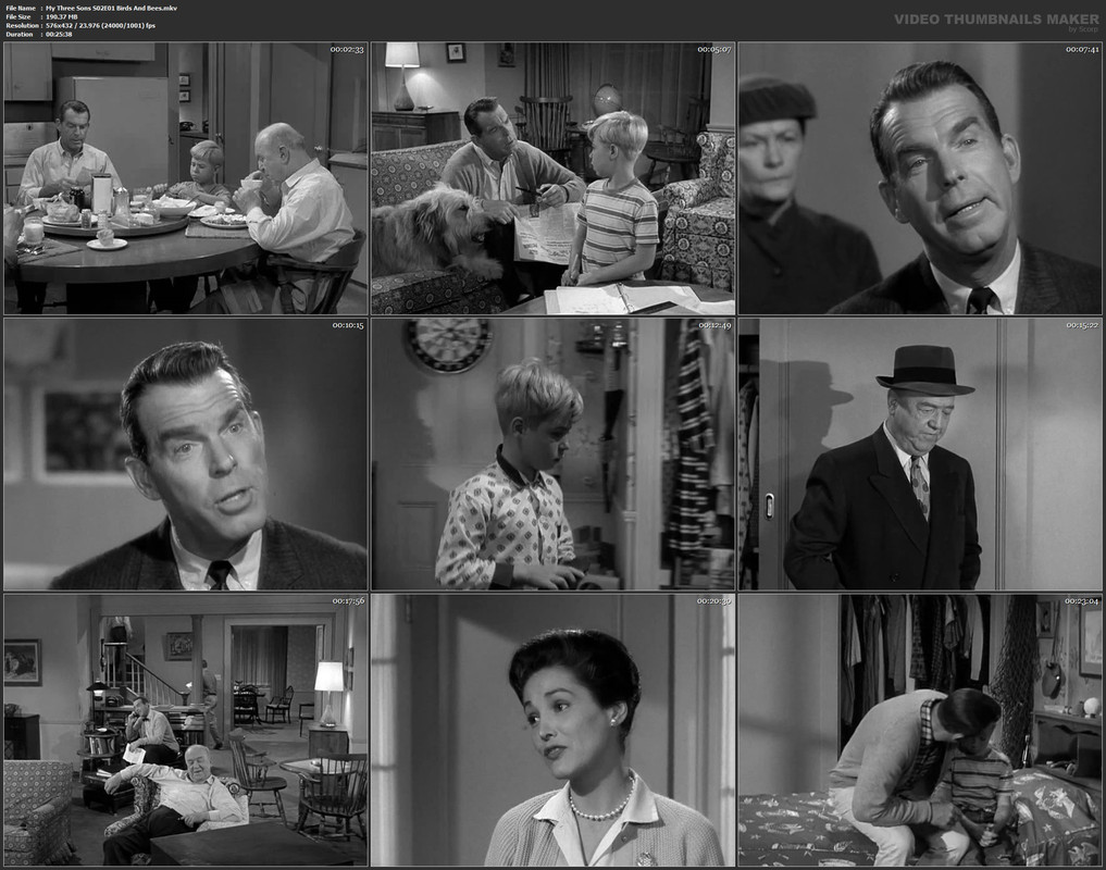 My Three Sons S02E01 Birds And Bees.mkv