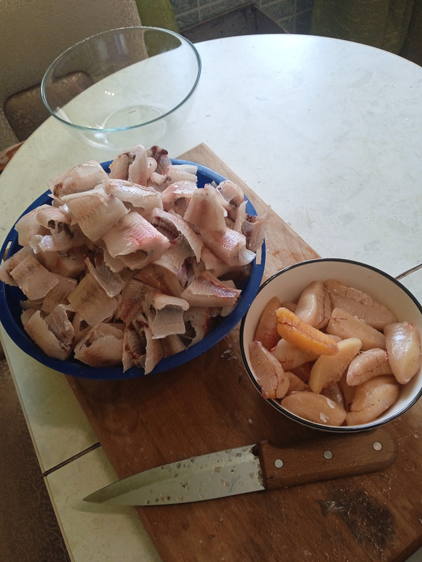 IMG_20240302_094049_1