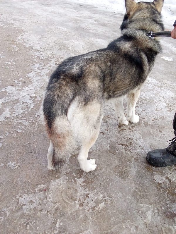 WhatsApp Image 2024-03-11 at 14.12.23 (1)