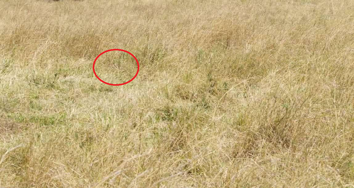 obr-zek-2023-04-08-224412898