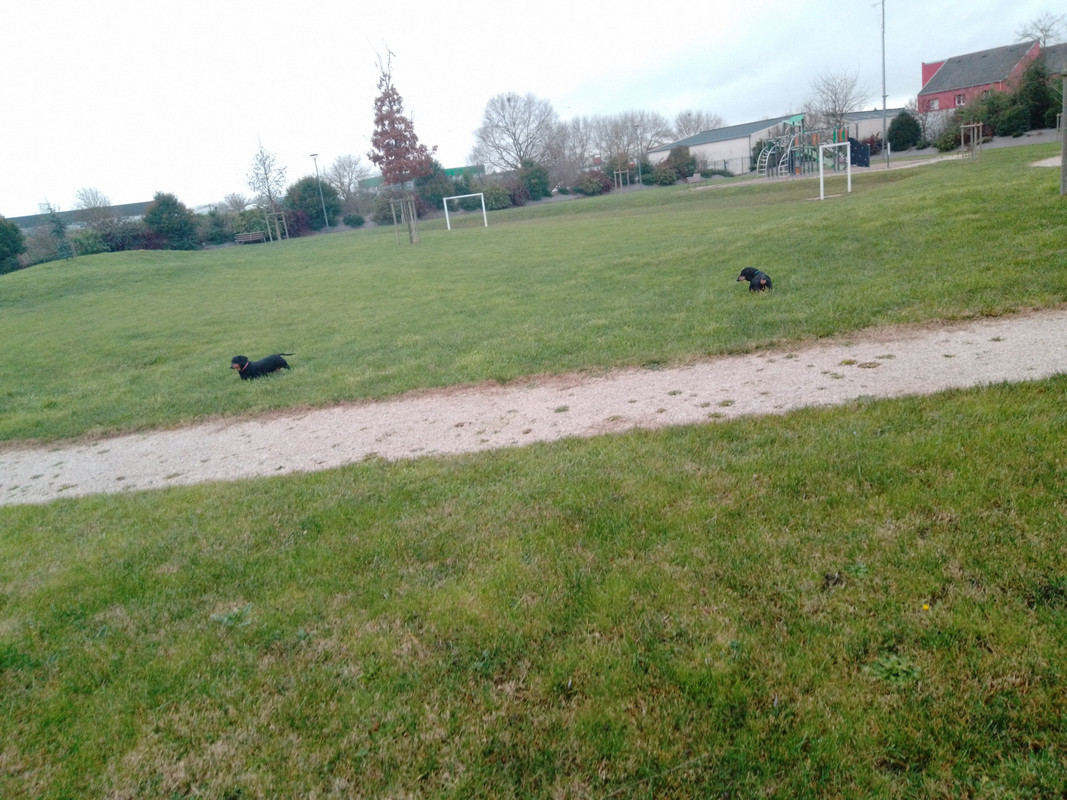 [Image: IMG-20241218-141748.jpg]