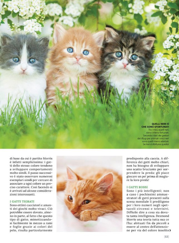 Ga Ma Dic 2021-Gen 2022 (8)