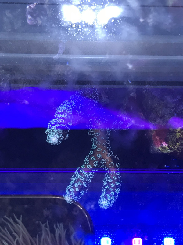 0ADECC2A-49DB-4272-A83A-F4DF03B90DDD