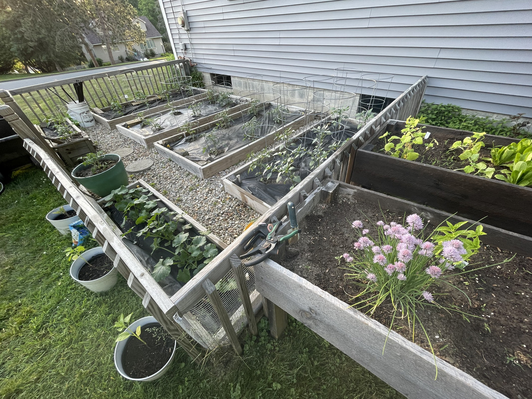 garden 2022