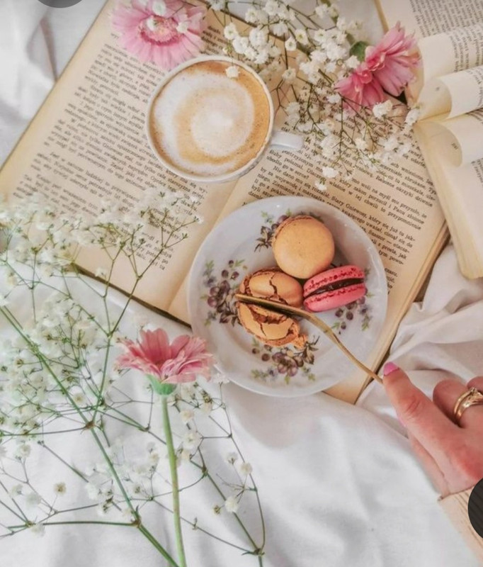 Screenshot_20230225_012539_Pinterest