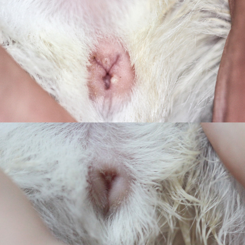 2EBCAF10-1656-42C5-84B9-CA99E07CAAB8