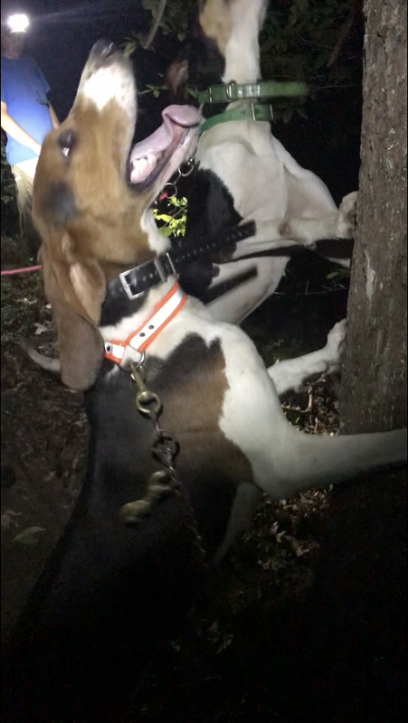 CD673243-D856-4E99-97B3-EE55951CE0C4