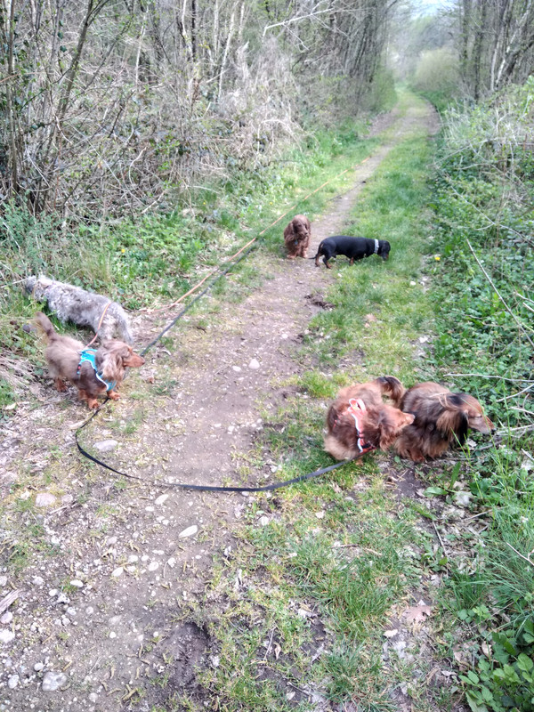 [Image: IMG-20230416-172506.jpg]