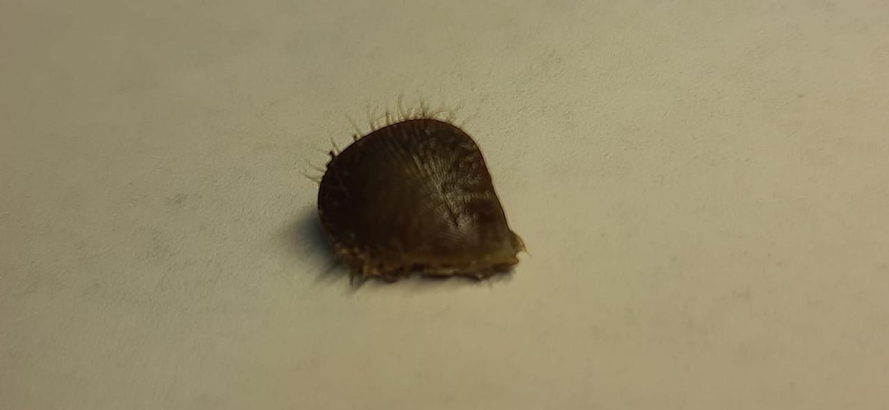 WhatsApp Image 2022-05-03 at 19.36.22 (2)