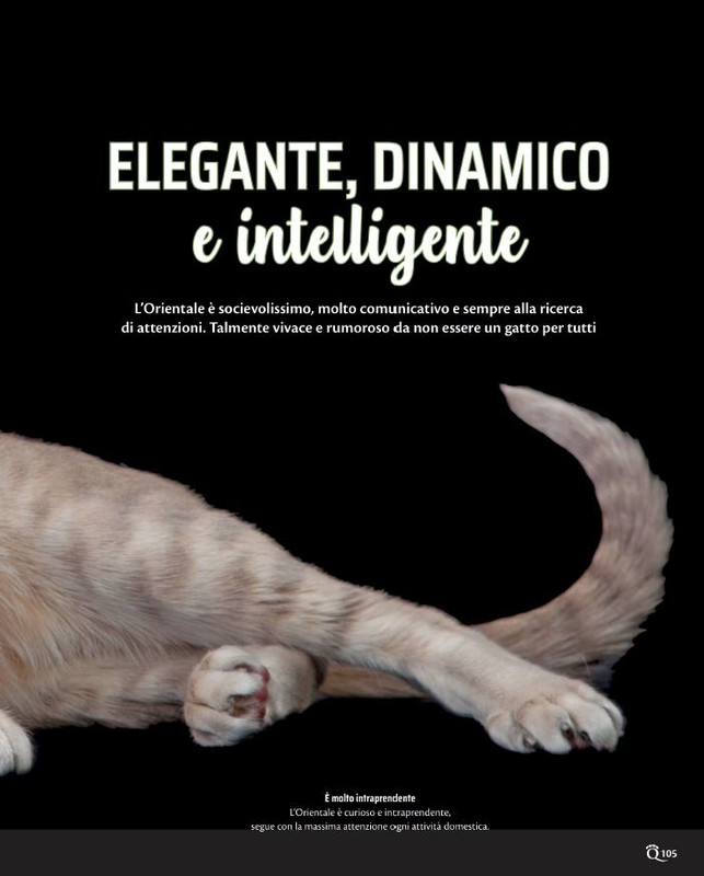 QuattroZampe Ott 2021 (10)