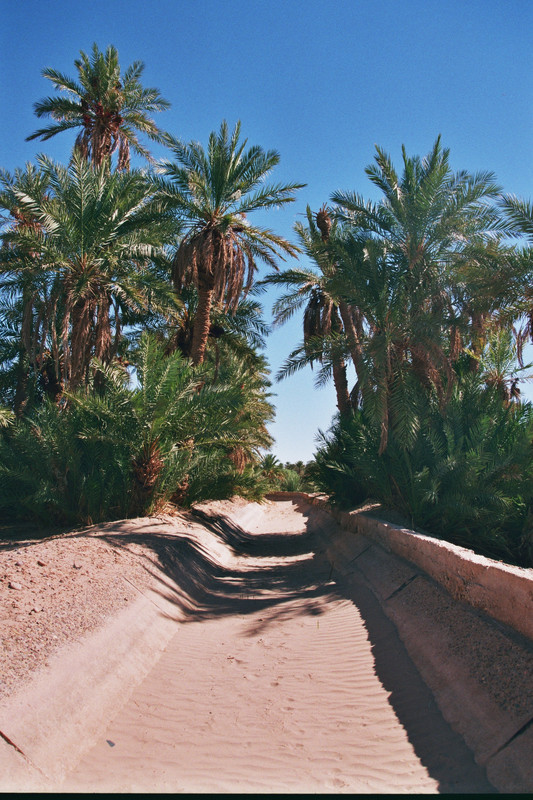 Mhamid el Ghizlane, en la frontera del Sáhara - El Valle del Drâa, la gran arteria del sur de Marruecos (32)