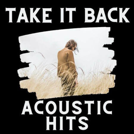 fe5ac3f8 2fec 40c4 9e2f 1e2df6c76117 - VA - Take It Back - Acoustic Hits (2022)