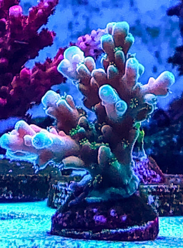 B3BC3316-C828-4E57-97D3-818E474E47A4