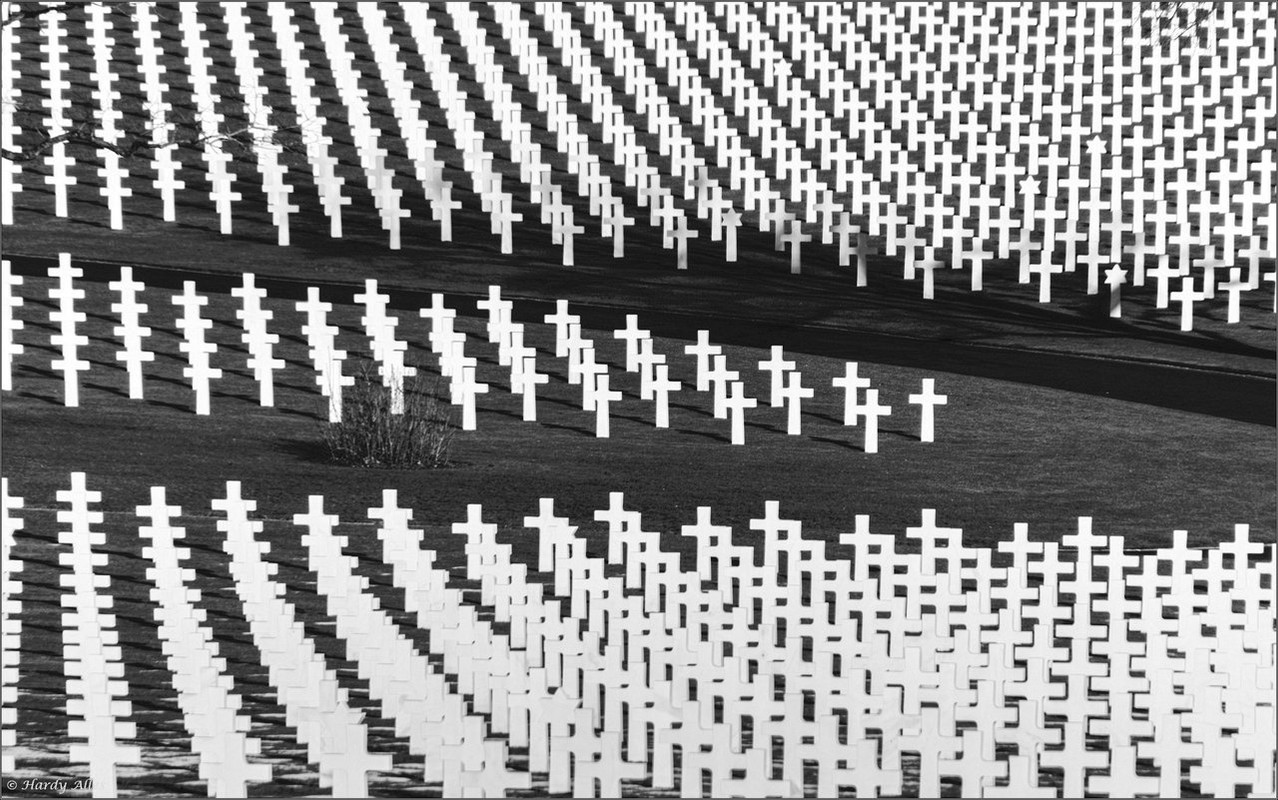 5300 DSC_4032 2017 CMA St.Avold  Part 2LR ERWZ FB