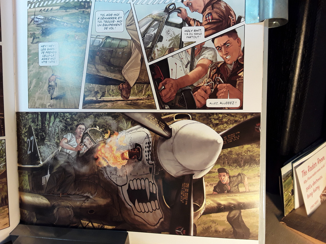 P40 crash startup (p26)