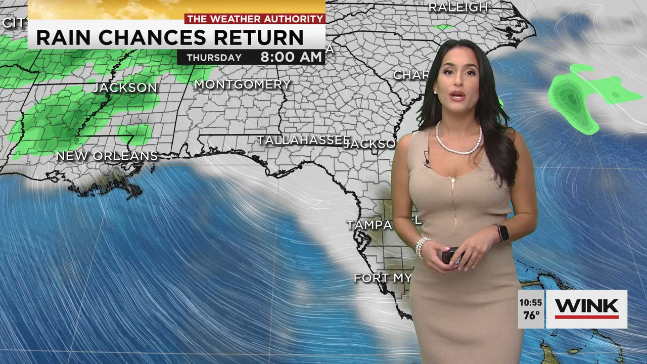 02.09 - 15.00.00 - WINK News at 10 00 a.m..ts_snapshot_00.56.38.938