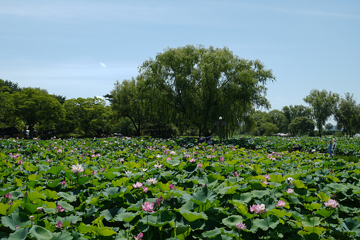 DSC02225
