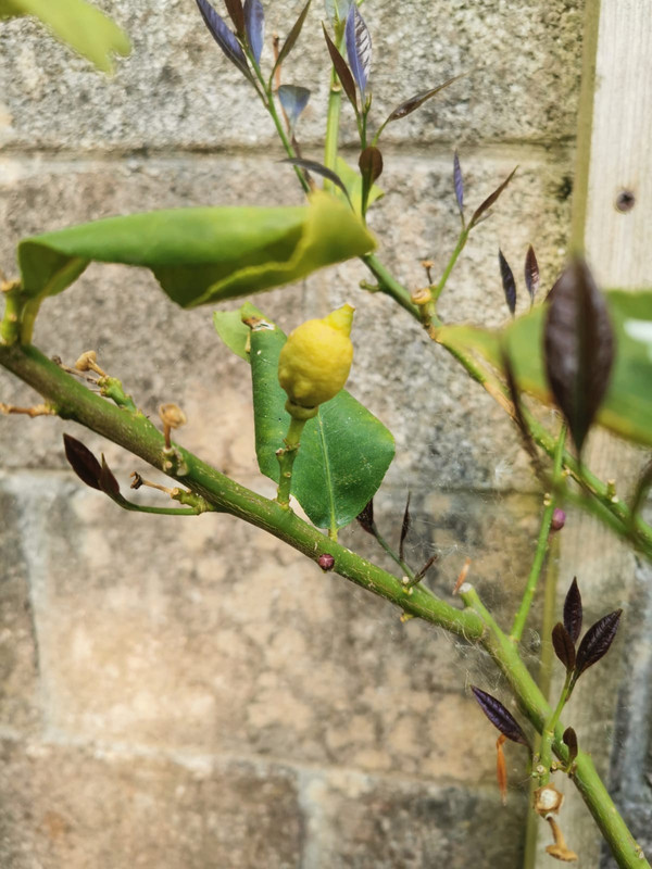 WhatsApp Image 2021-05-23 at 10.35.56