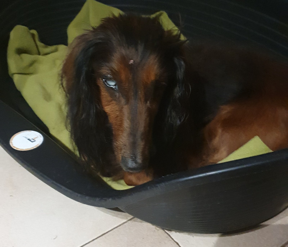 [Image: 20200626-224845.jpg]