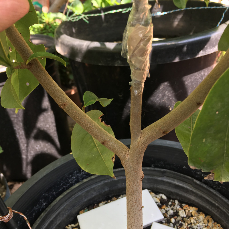 D23D3AAC-E3B0-4904-A237-BEB709E4657D