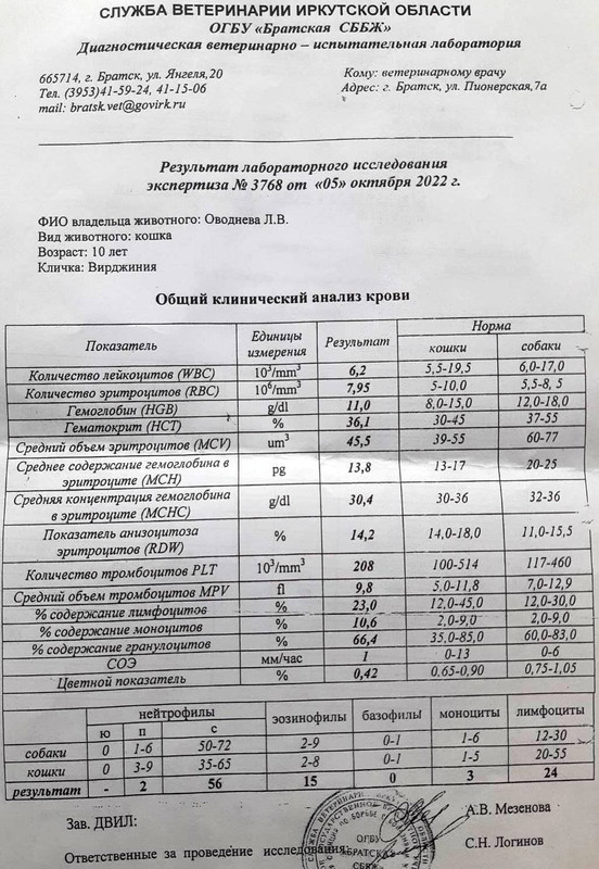 общий анализ крови