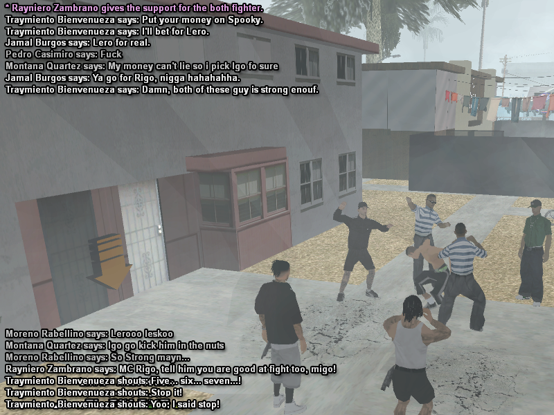 SS6.png