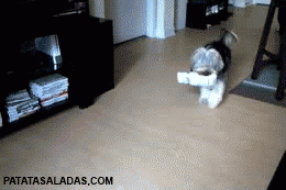 B7tp.gif