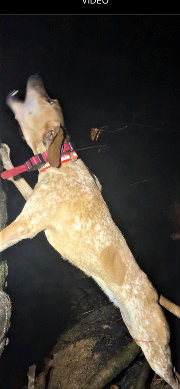 Resized_Screensho005 (1)