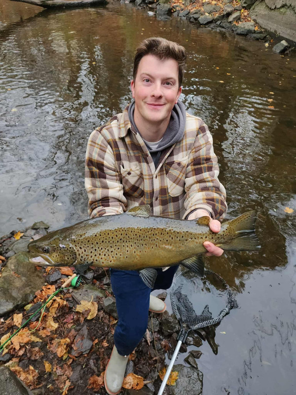 3dbbaa042a0c826ad50104cc6f86c264