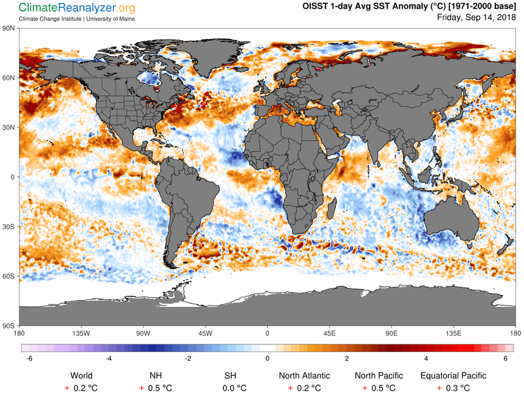 gfs_world-ced_sstanom_1-day