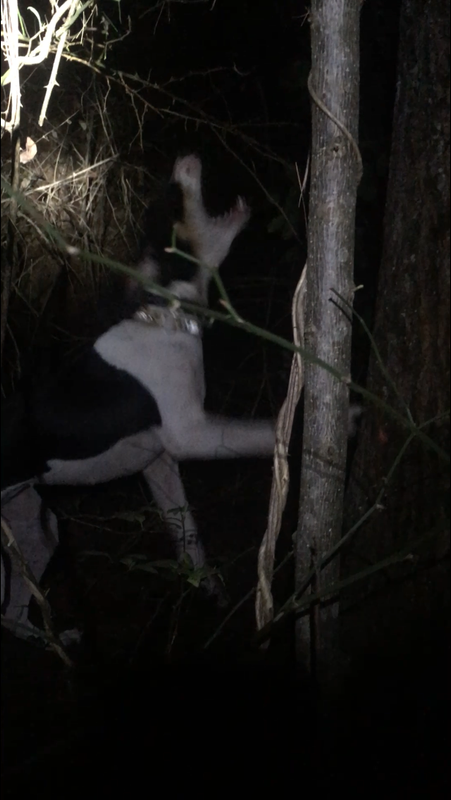 D0C071DD-9260-40E9-9870-0EF49DF22912