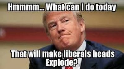 trump-liberal-herad-explode-400x223.jpg