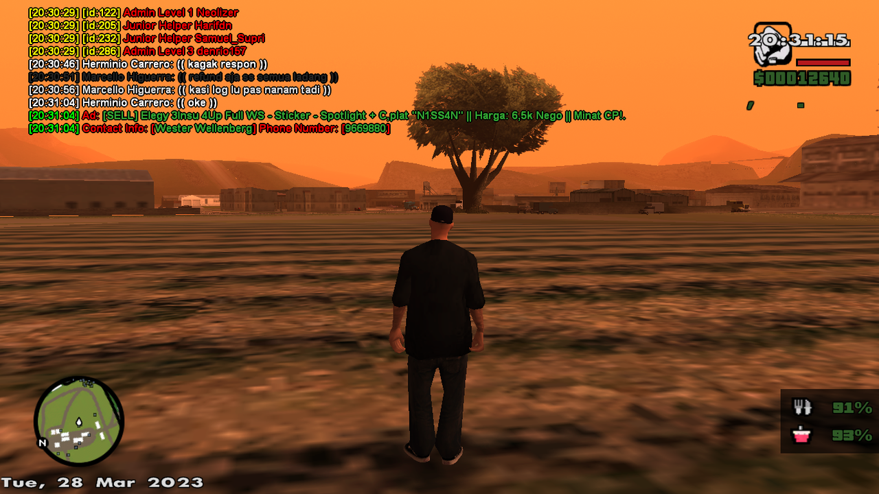 samp-28-03-2023-20-31-15.png