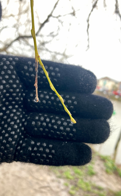 DBBC6EB1-1387-4B12-A08F-54D7B763C0DA