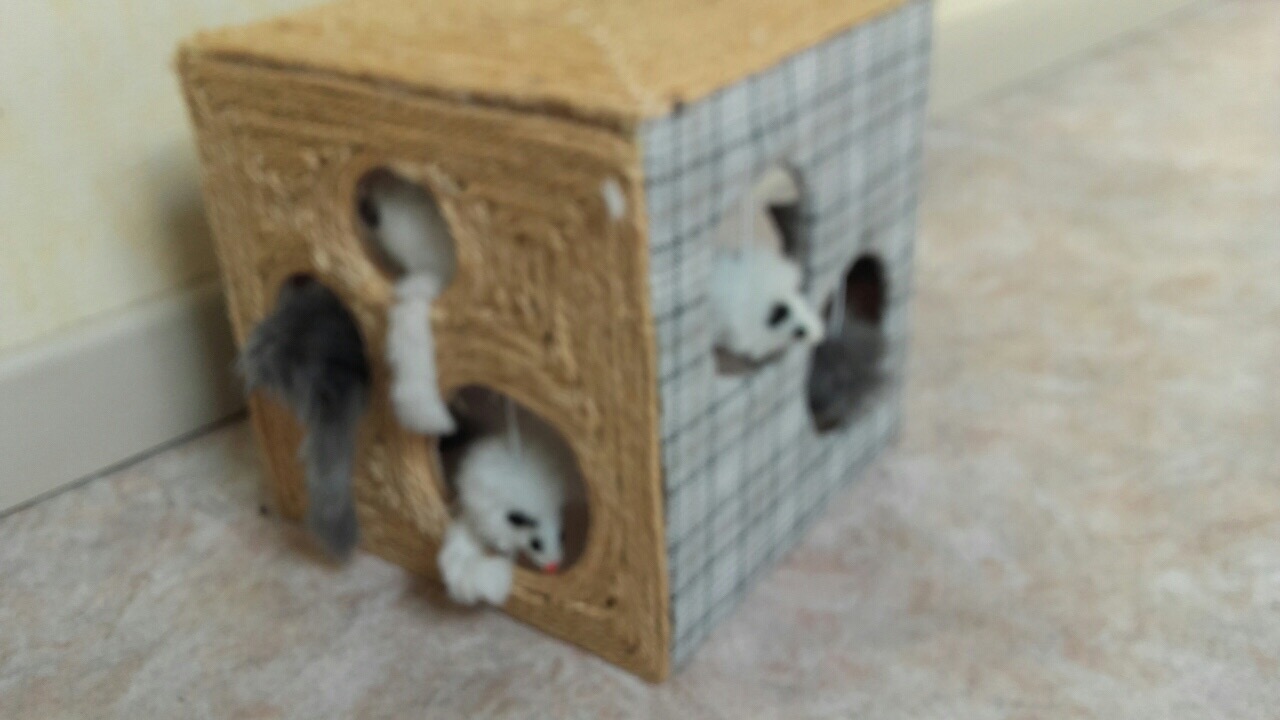 E9C8B04E-4610-4246-B311-DACDED372EC9