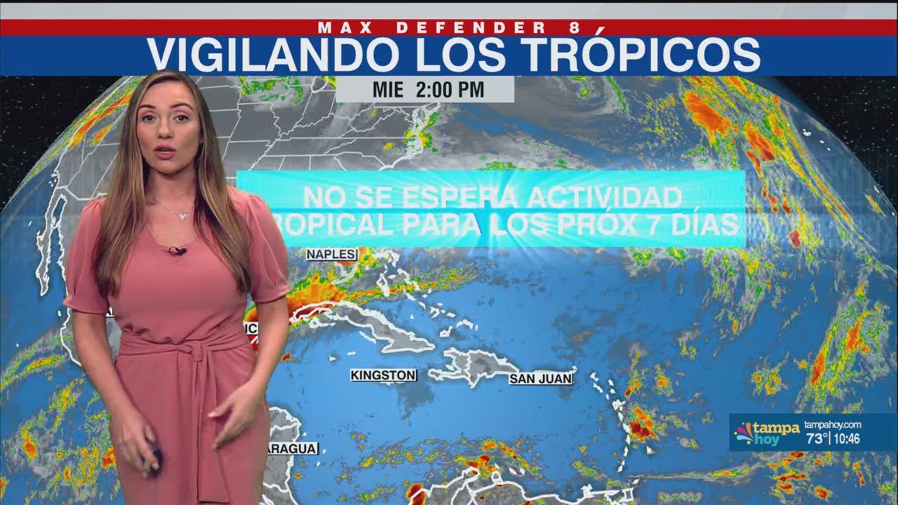 Noticias Tampa Hoy_20241121_03300400.ts_snapshot_17.49.411