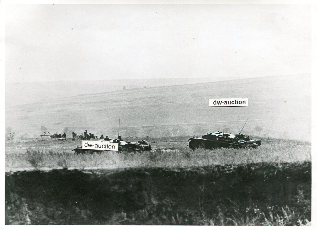 Sturmgeschütz vor Stalingrad