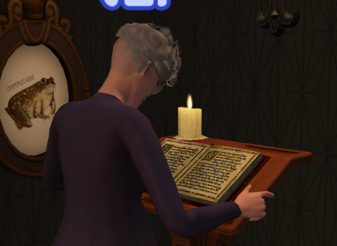 Sims2-EP9-RPC-2023-06-17-19-47-11-35