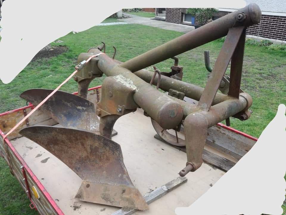 FB_IMG_1665947146330