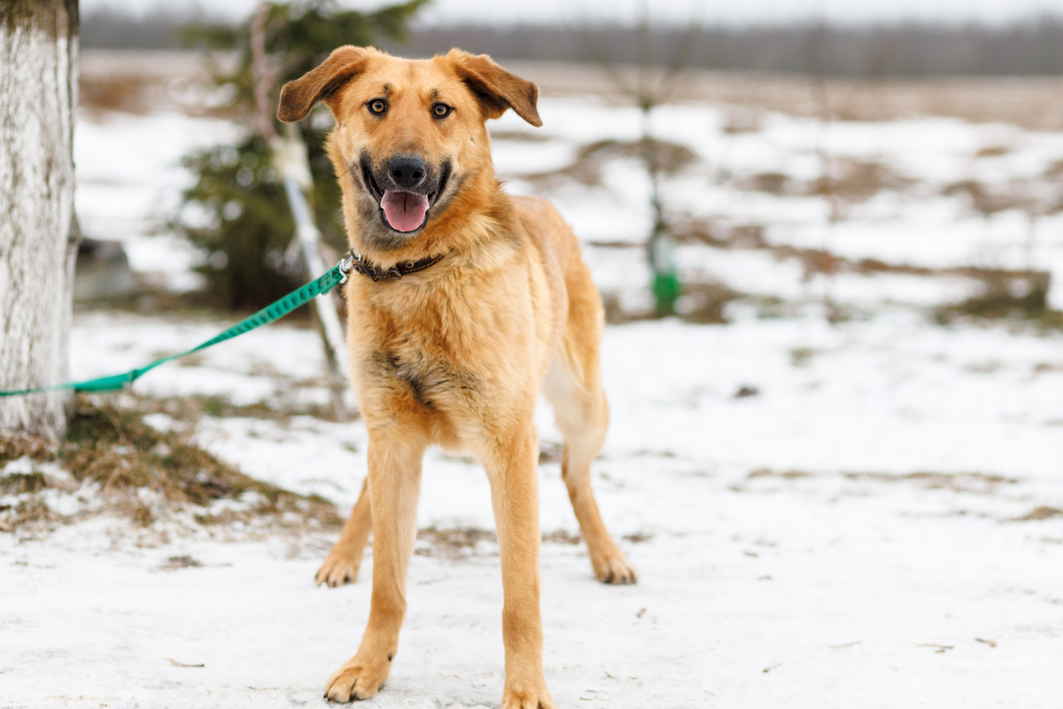 RRDaPGIDaq6DTzmuK1VD5ExNbxeLVaAEP2xtiQ583W0EsGxmLsj8NVU79ewRidAsSxCAOlruwUESHOZIV9zGqg==?uid=0&filen