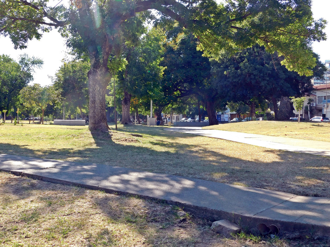 DSCN0623.jpg