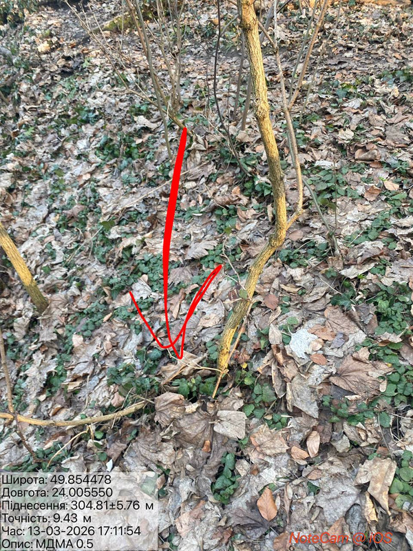 9c1cdc85697e01af8832577730941a9683cd