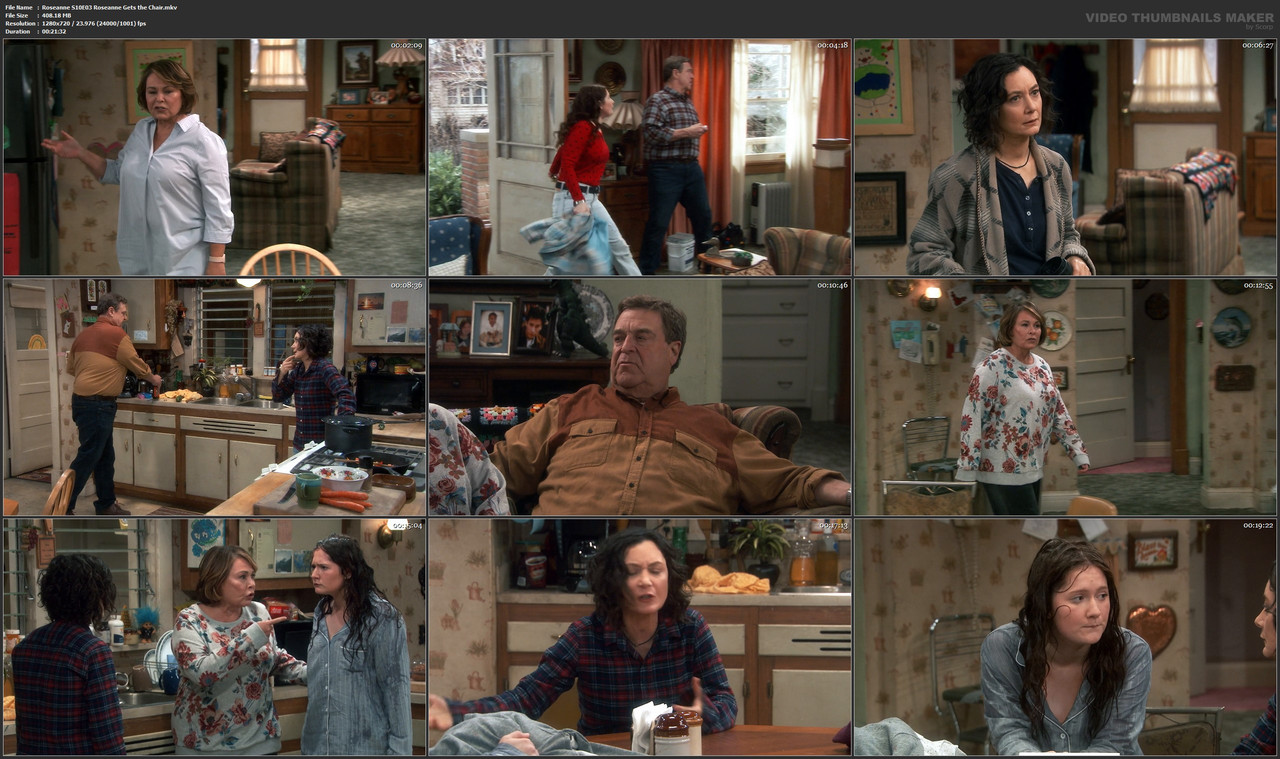 Roseanne S10E03 Roseanne Gets the Chair.mkv