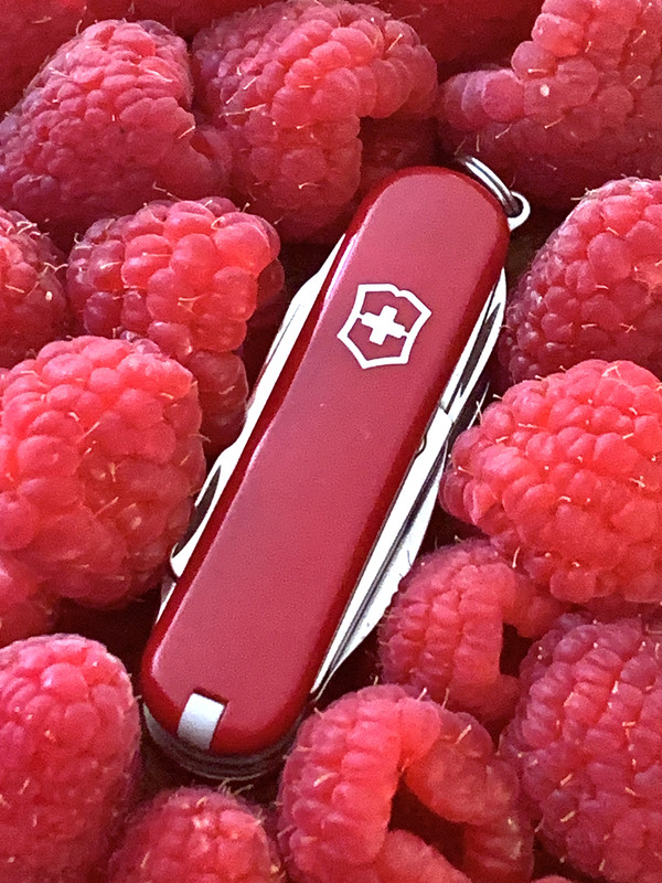 E39A7203-F732-4E36-9C11-E60308FD7EAB