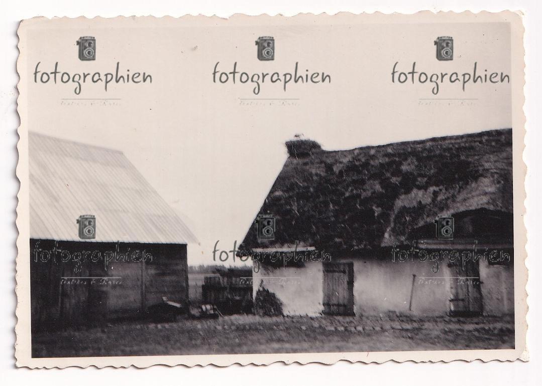 org. Foto Russland Nord 4. Polizei Panzergrenadier Div. Haus Hütte 1941 (2)
