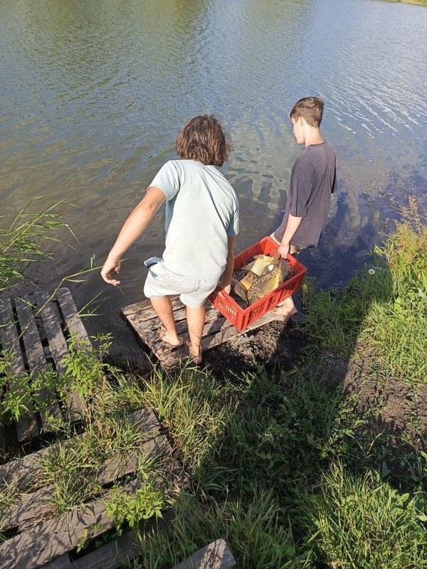 https://i.postimg.cc/ncc28VF4/IMG-4050.jpg
